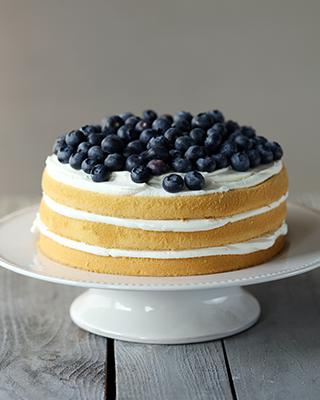 Blueberry Vanilla    蓝莓香草