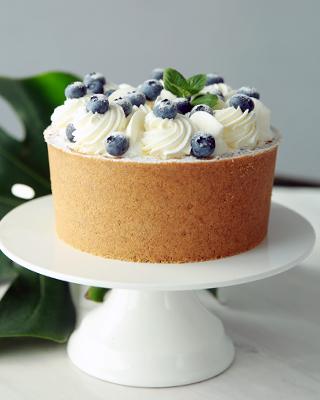  Blueberry freshman  蓝莓新生