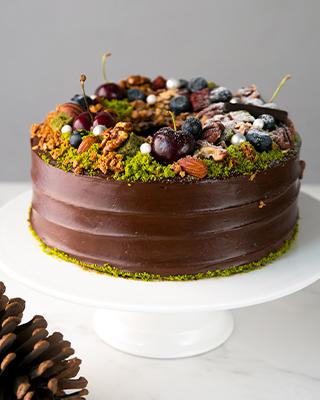 Christina r=a(1+cosθ)克里斯蒂娜心形线